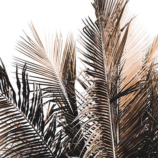 Sepia Palm