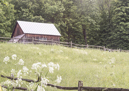 Summer Farm I