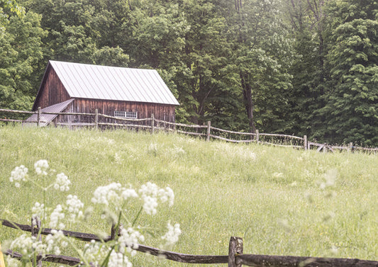 Summer Farm I