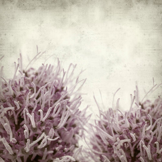 Textured Floral 1