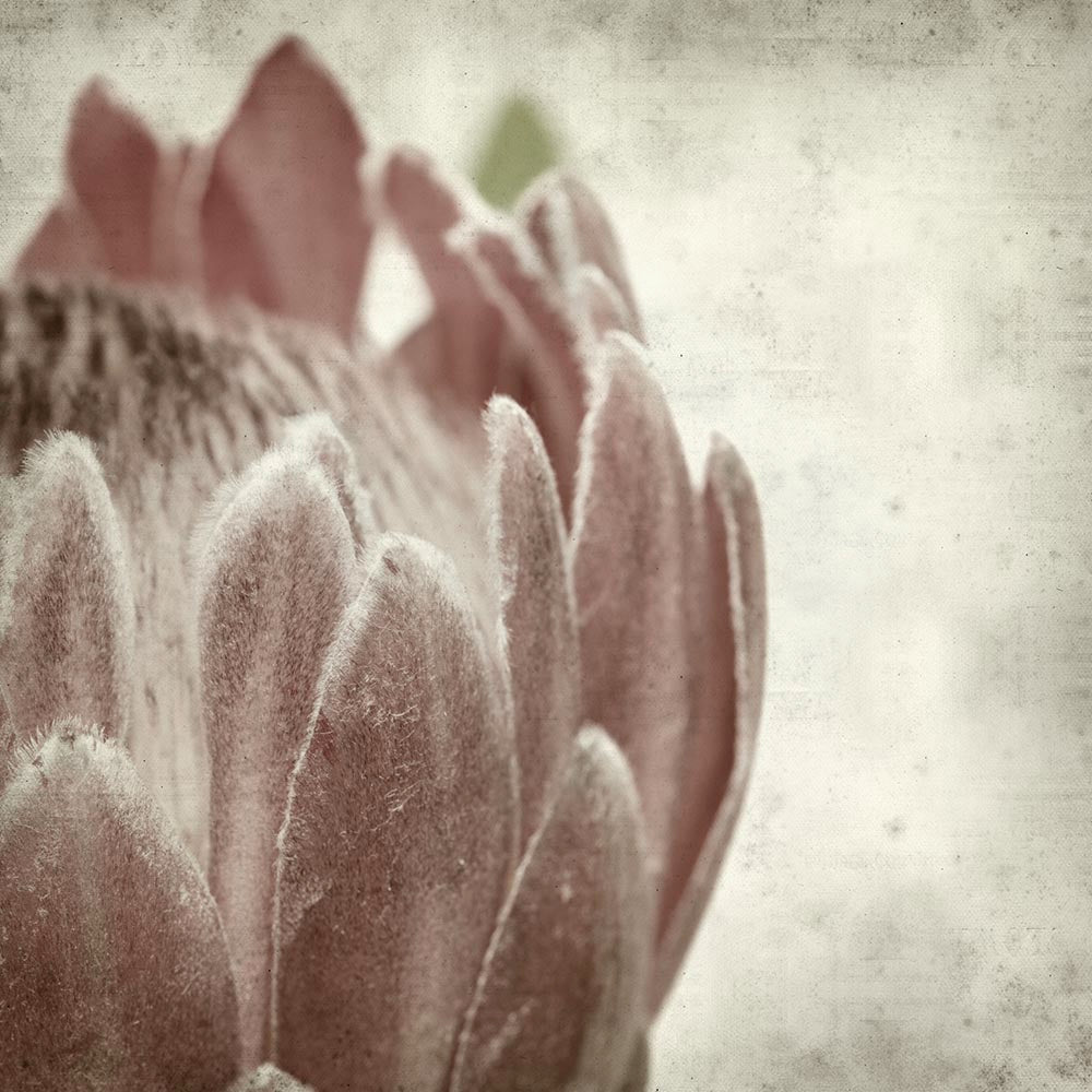 Textured Floral 2