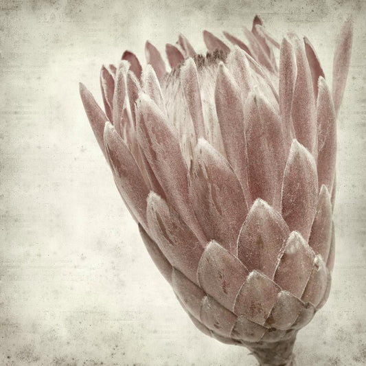 Textured Floral 3