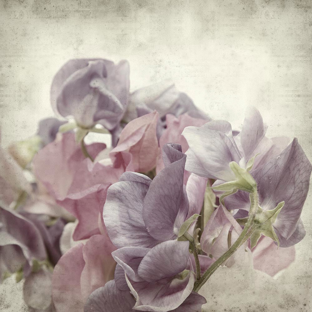 Textured Floral 4