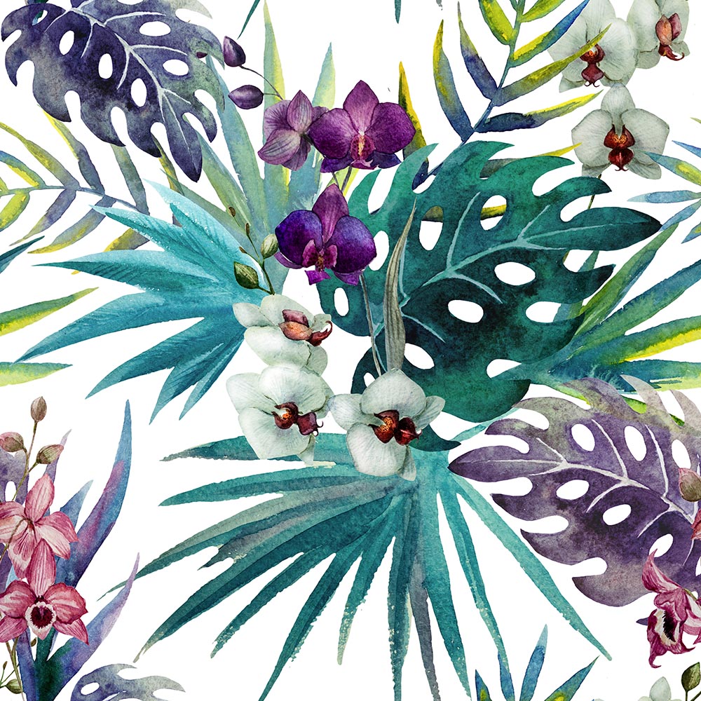 Tropical 2