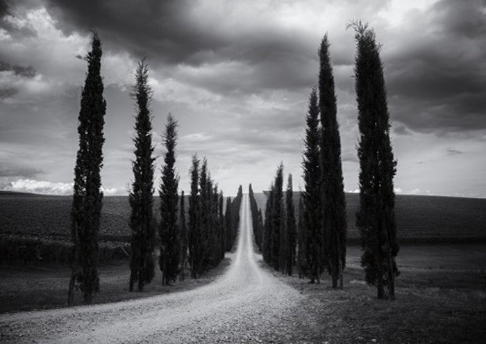 Travelling in Tuscany crop