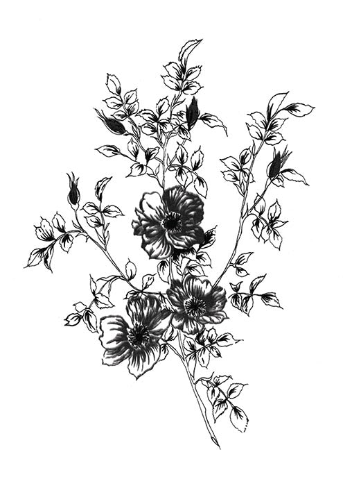 Sketchbook Flowers on White II