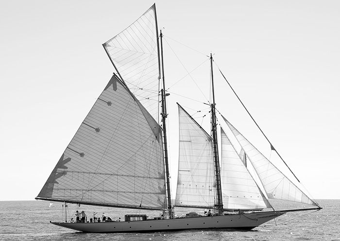 Cruising Calm