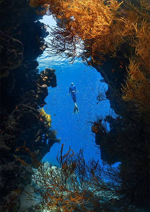 Deep Dive C