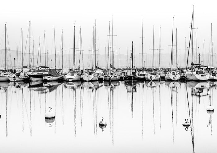 Mainland Marina