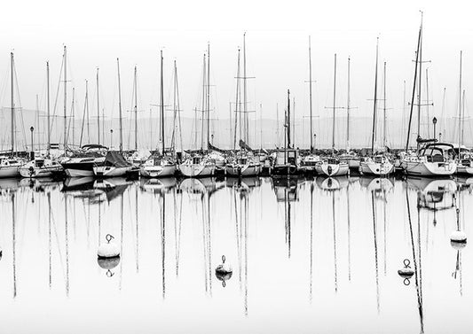 Mainland Marina