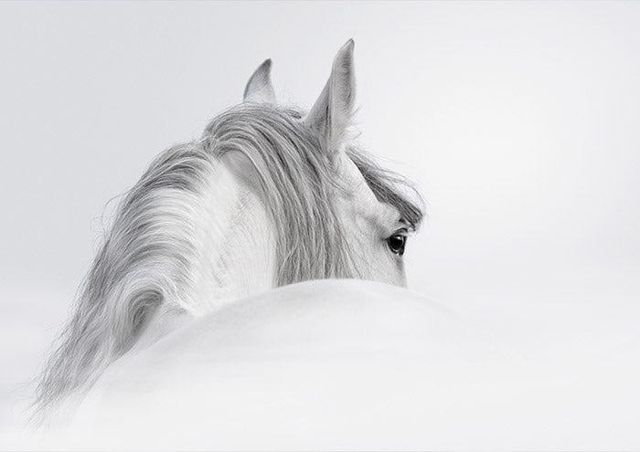 White Horse