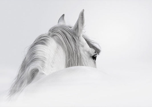 White Horse