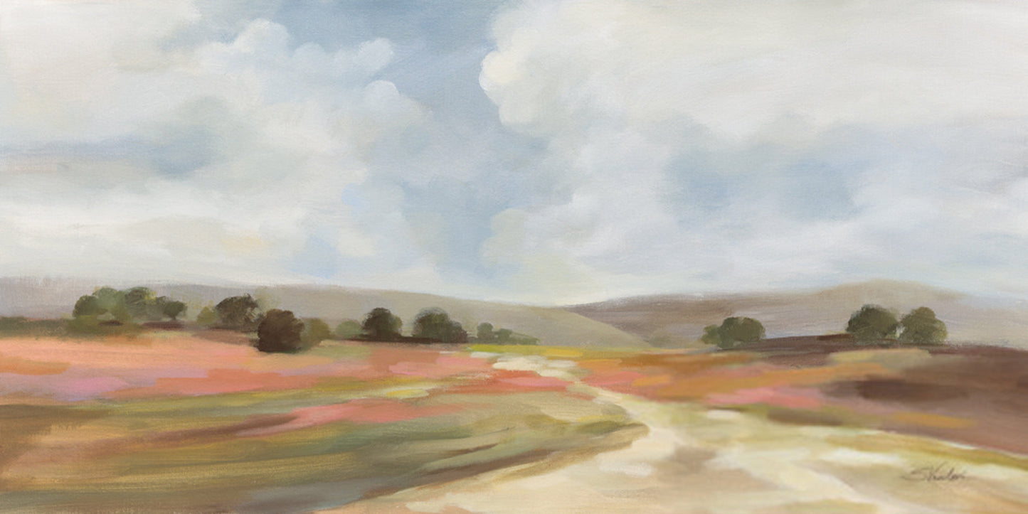 Wide Fields