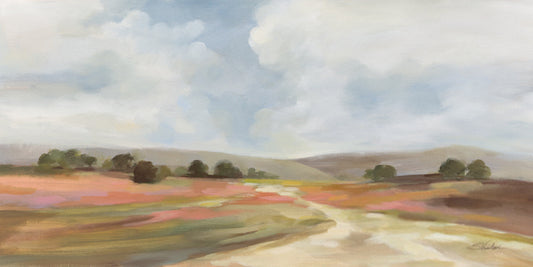 Wide Fields