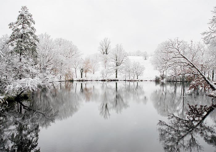Winter Lake