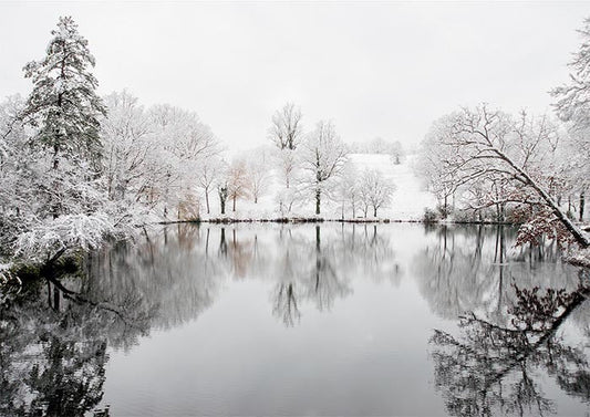 Winter Lake