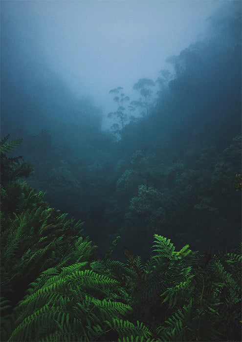Blue Mountains 2