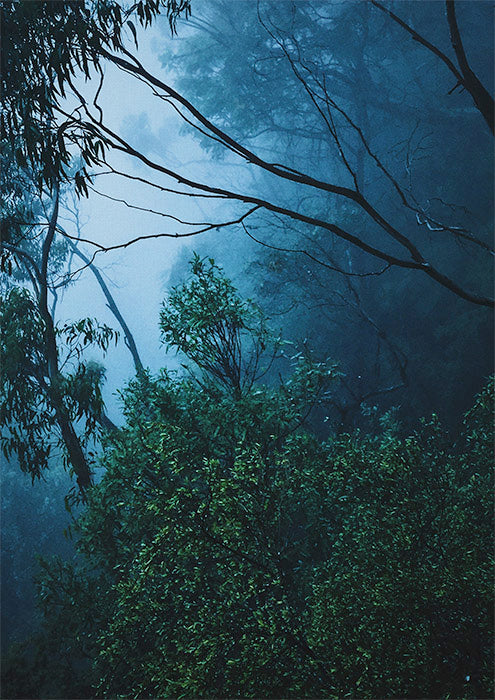 Blue Mountains 3