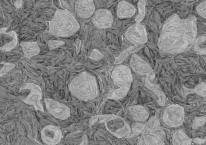 Systems Black