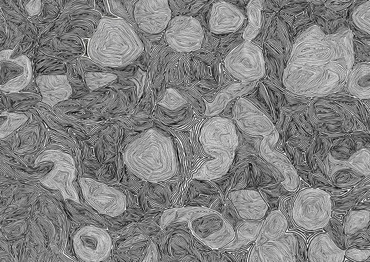 Systems Black