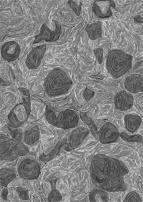 Systems Monotone