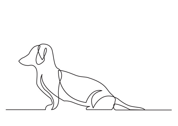 Contour Dog