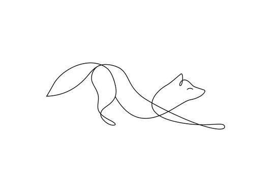 Contour Fox