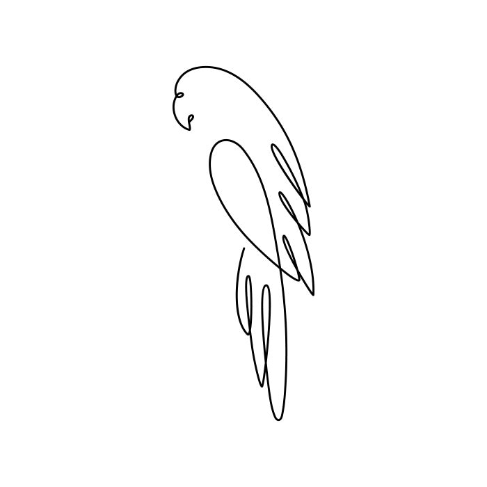 Contour Parrot