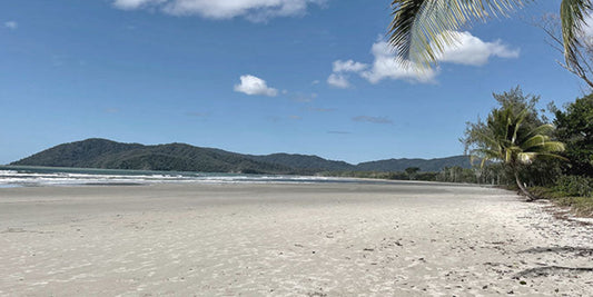 Daintree National Park
