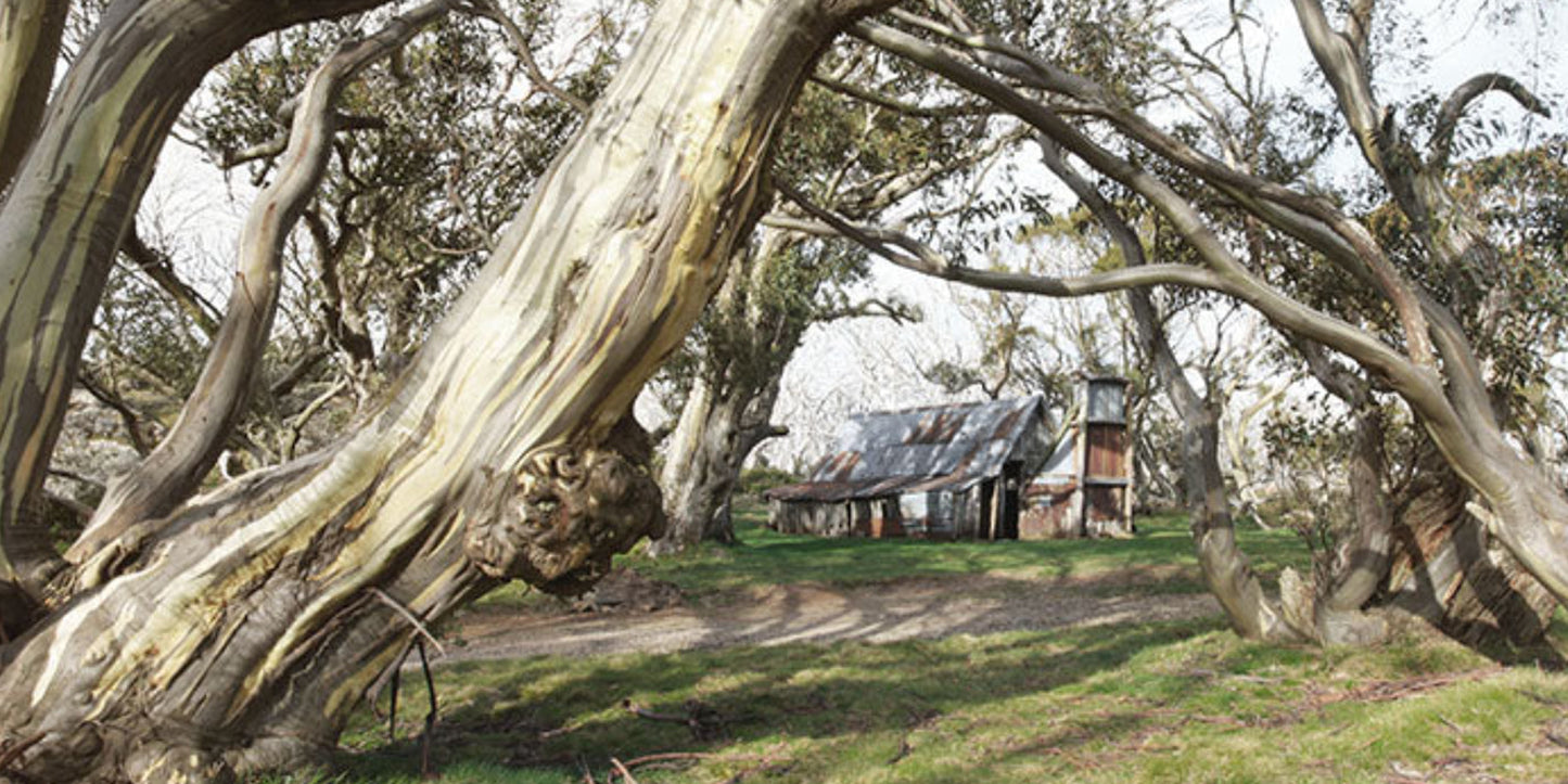 Wallace Hut Gums Original