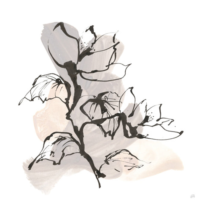 Neutral Magnolia II
