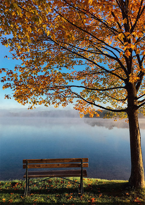 Placidity