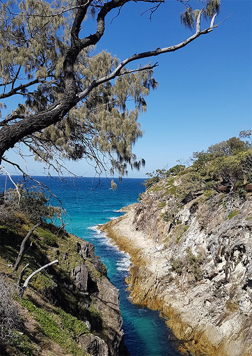 Pt Lookout Qld