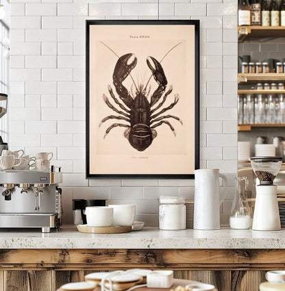 Vintage Lobster