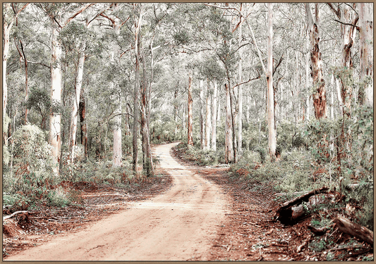 Winding Track